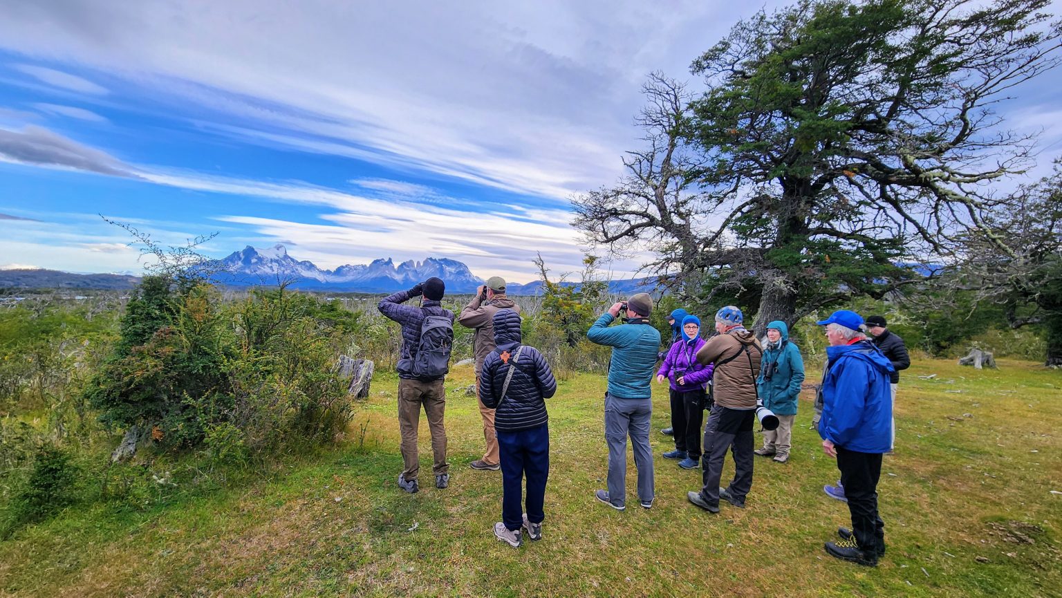 Birding in Torres del Paine NP