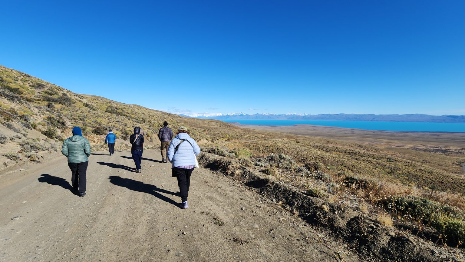 Birding on the Patagonian Steppe