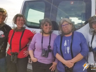 Sometimes there are midges at Lake Mývatn