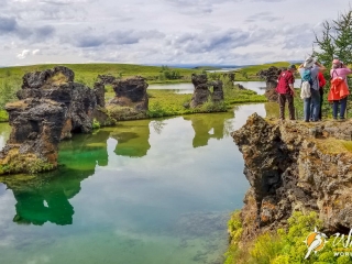 Höfði Forest on Lake Mývatn