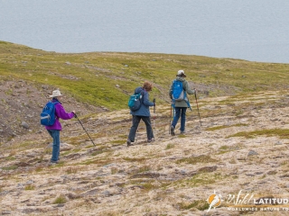 Hiking in Hornstrandir