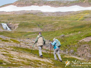 Hiking in Hornstrandir