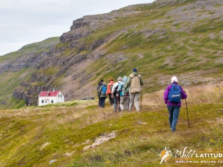 Hiking in Hornstrandir