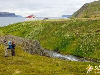 Birding Hornstrandir Nature Reserve