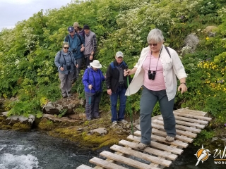 Adventurous stream crossing in Hornstrandir