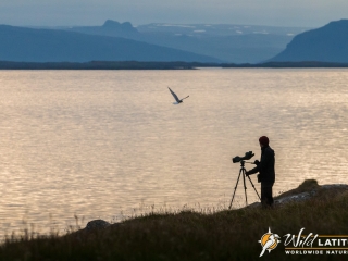 Trip Leader Patty Newland on an early-morning scout