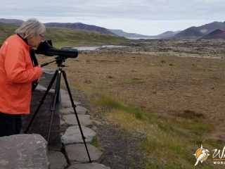 Scanning the lava flow for birds