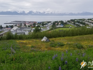 Husavík