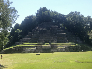 Jaguar Temple- Lamanai