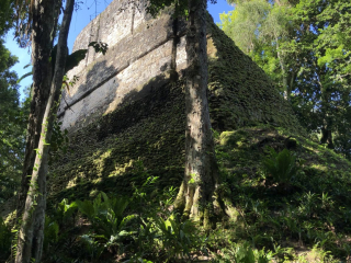 Partially covered ruins- Tikal (Rebecca)