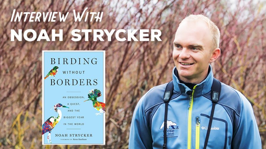 Birding Without Borders – An Interview with Noah Strycker