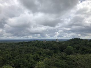 View from the top of Temple #9- Tikal (Rebecca)