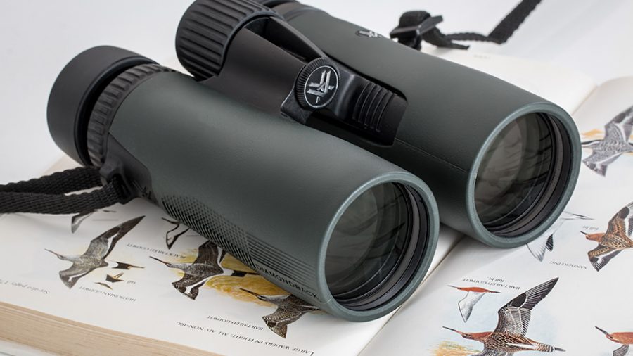 Birdwatching Binoculars for Beginners